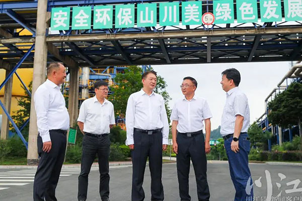 杨林兴：把新型工业化摆在更加突出的位置，让“四化同步”发展的主引擎作用更加凸显